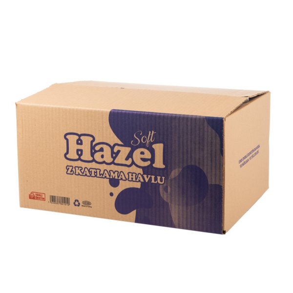 Z KATLAMA DİSPENSER HAVLU KAĞIT 100'LÜ 12 PAKET