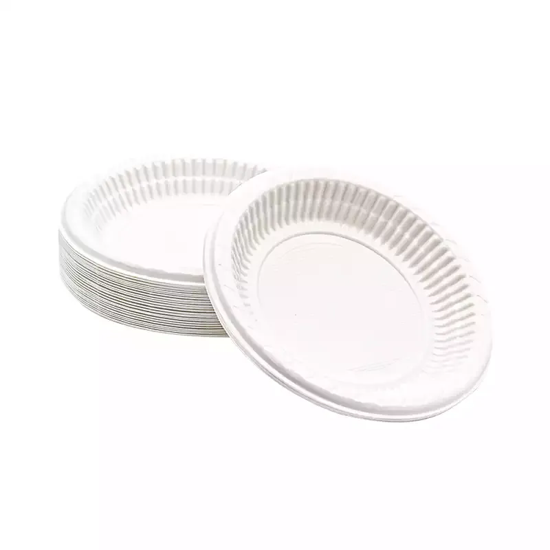 PLASTİK TABAK 19 CM - 100 ADET