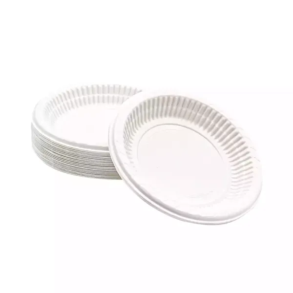 PLASTİK TABAK 19 CM - 100 ADET